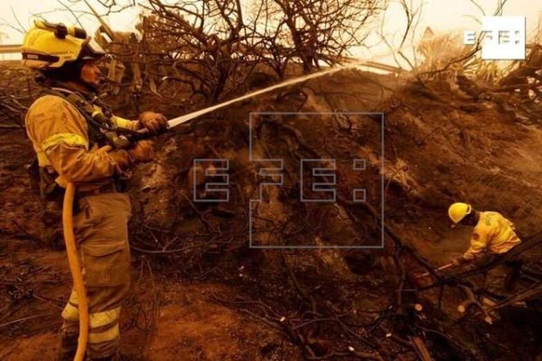 Un bombero acaba de sofocar el incendio que afectó este domingo a la urbanización La Quinta en el municipio de Santa Úrsula (Foto EFE / Ramón de la Rocha)